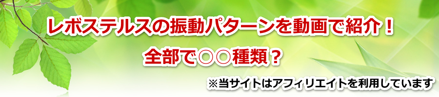 ���{�X�e���X�̐U���p�^�[���𓮉�ŏЉ�I�S���ŁZ��ށI